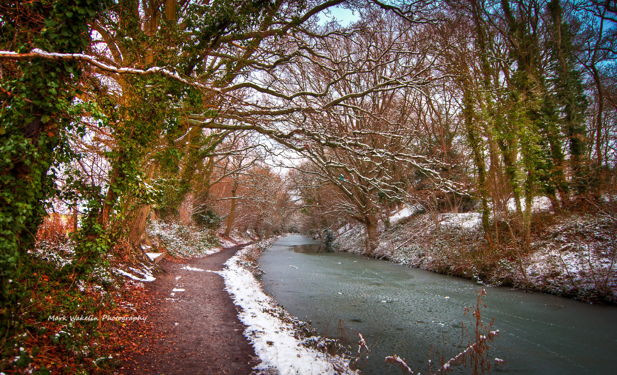 Snow-dusted tree branches arching over a frozen river with a leaf-covered path alongside, in a winter woodland.