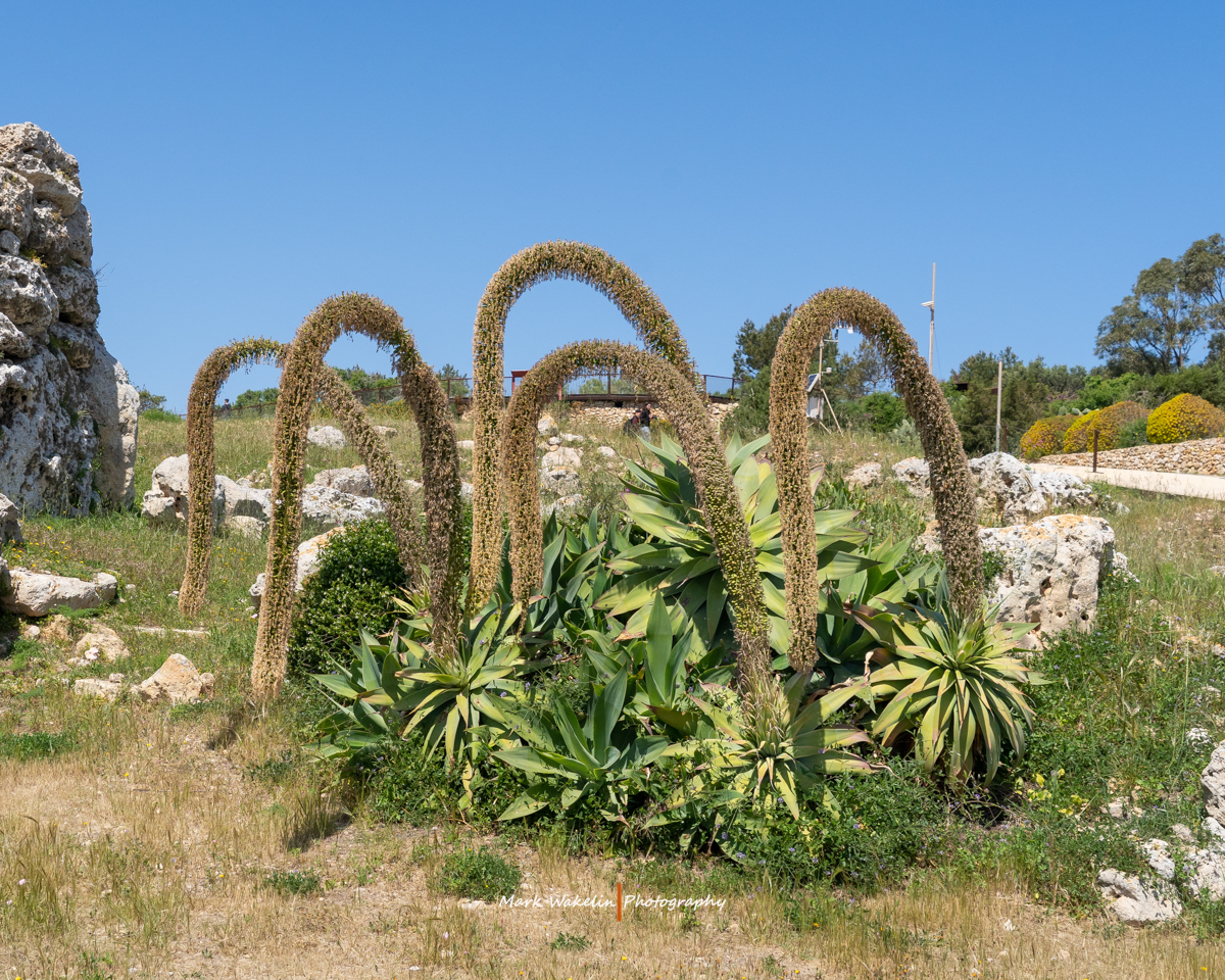 Malta