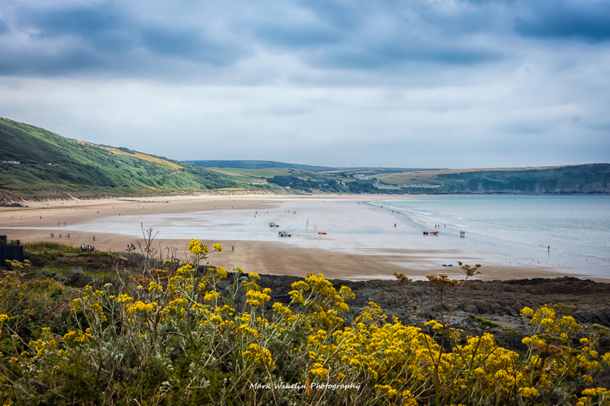 Wide coastal beach with gentle waves, people walking on wet sand, green hills in the background, and yellow wildflowers in the foreground under a cloudy sky.