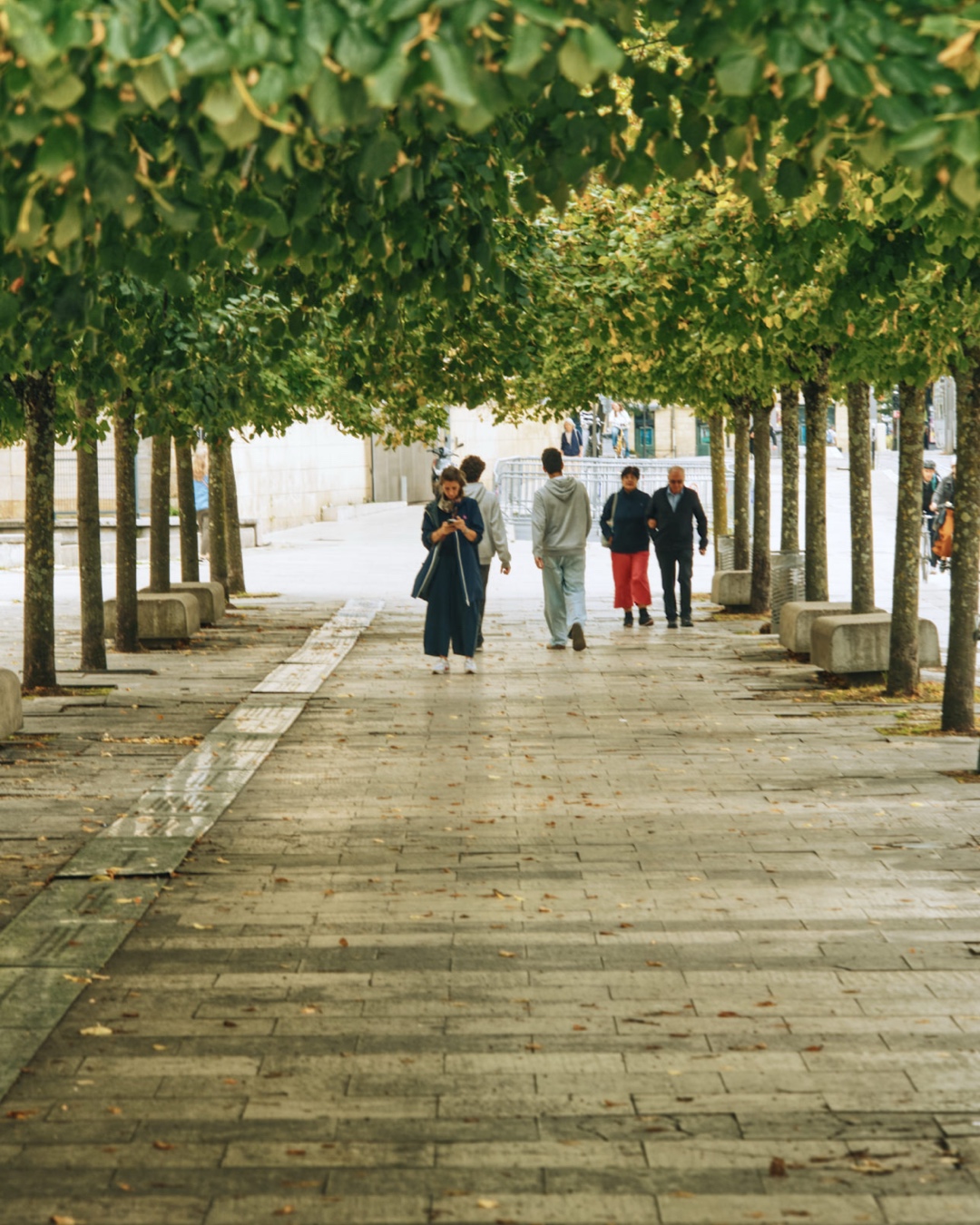 Bordeaux-travel-Image